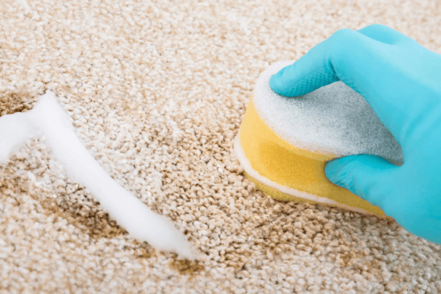 You won&rsquo;t have a hard time trying to keep your carpets clean anymore