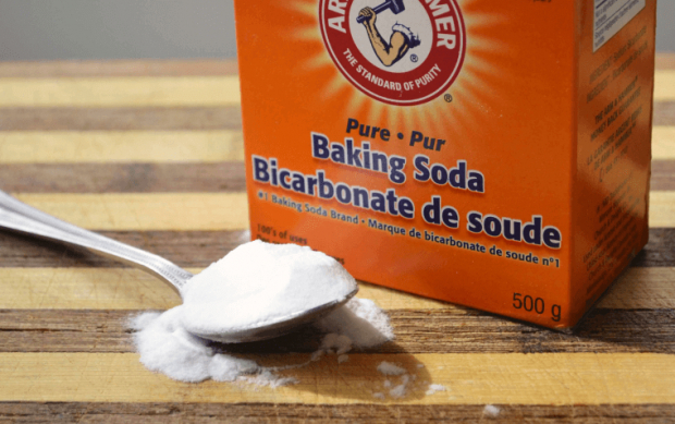 You can use baking soda to keep uninvited pests away too