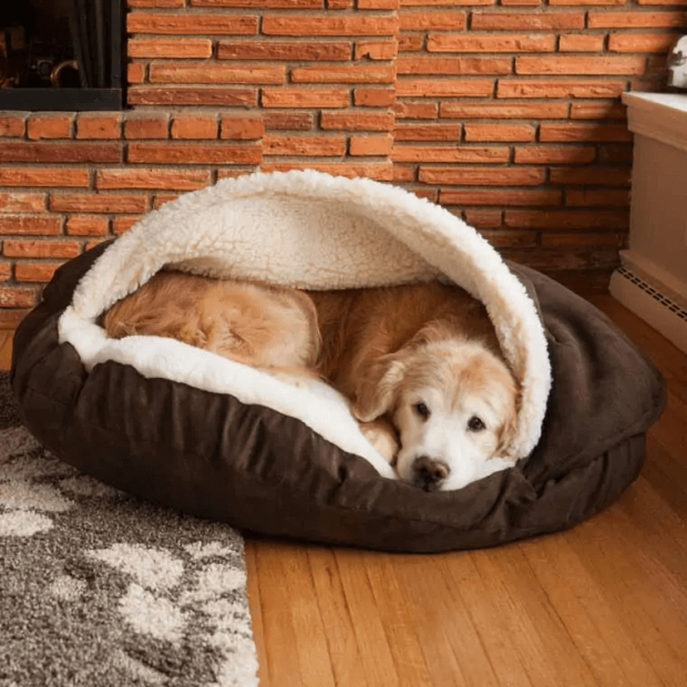 You can even use baking soda to get your pet&rsquo;s bed to smell nice